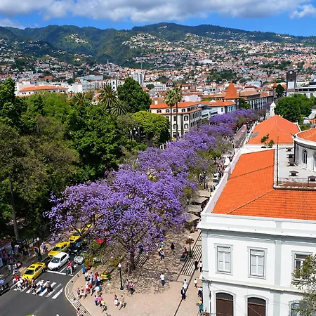 Ourmadeira - Boieiro Living Canico (Madeira)